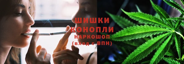гидра Приозерск