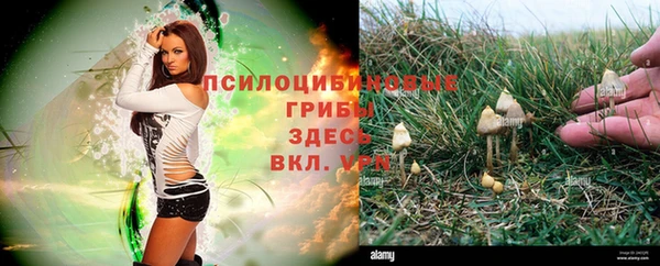 шишки Протвино